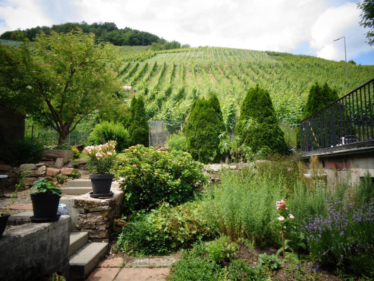 Ferienhaus Am Herrenberg Casa Michele Apartment Kesten ภายนอก รูปภาพ